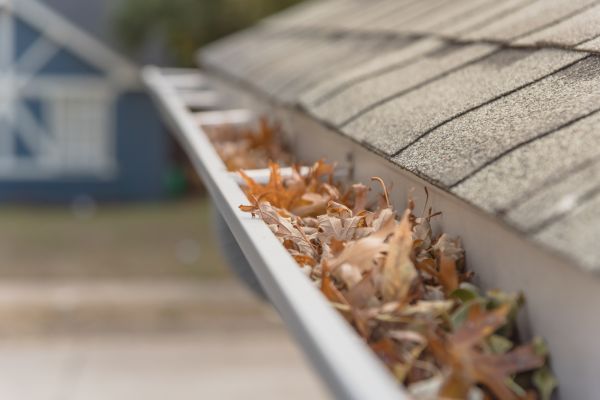 Leaf Barrier Installation in Covington